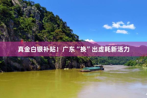 真金白银补贴！广东“换”出虚耗新活力