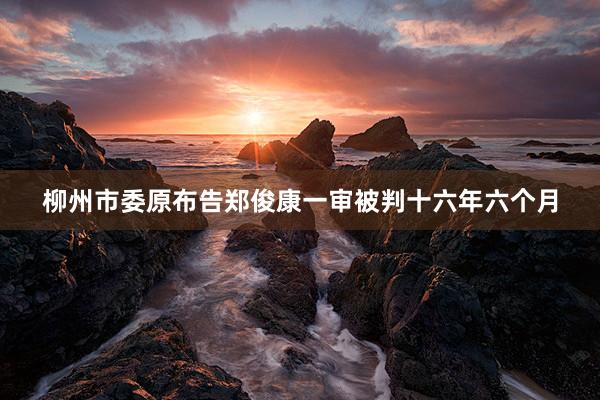 柳州市委原布告郑俊康一审被判十六年六个月