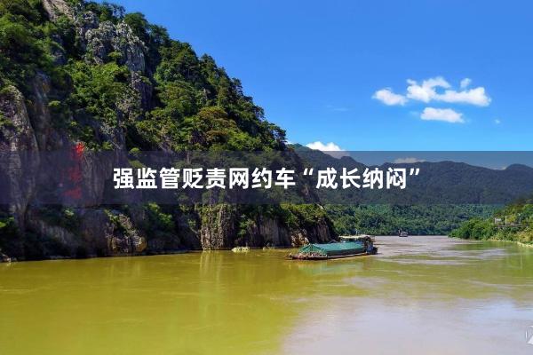 强监管贬责网约车“成长纳闷”