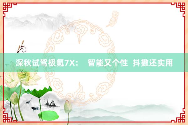 深秋试驾极氪7X：  智能又个性  抖擞还实用